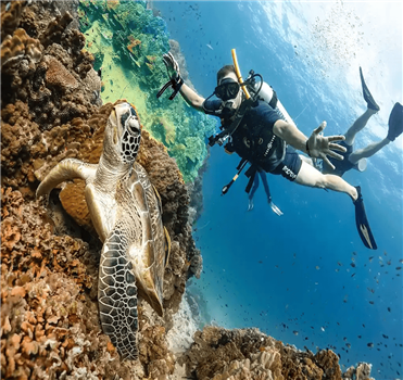 Diving